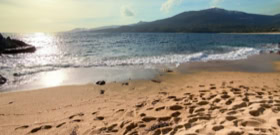 Sunset sur la plage de Propriano