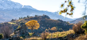 la montagne Corse vetue de ses couleurs automnales. 