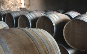 Degustation vins aop corse