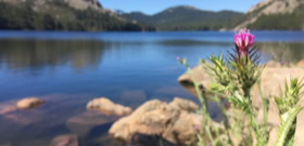 Lac du barrage de l'Ospedale en Corse