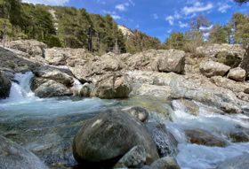 Cascades de l'Agnone dans la forêt de Vizzavona en Corse